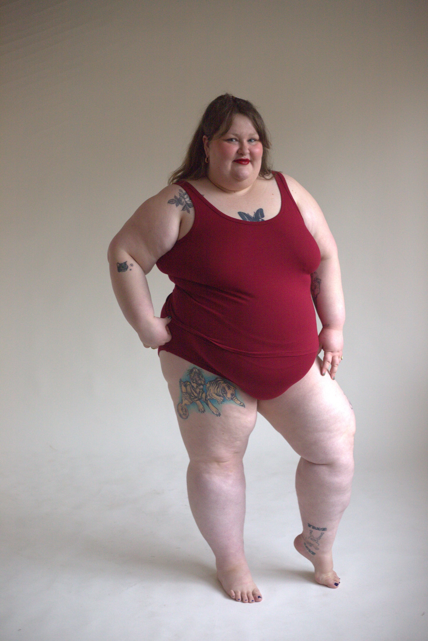 Everyday High Waisted Briefs