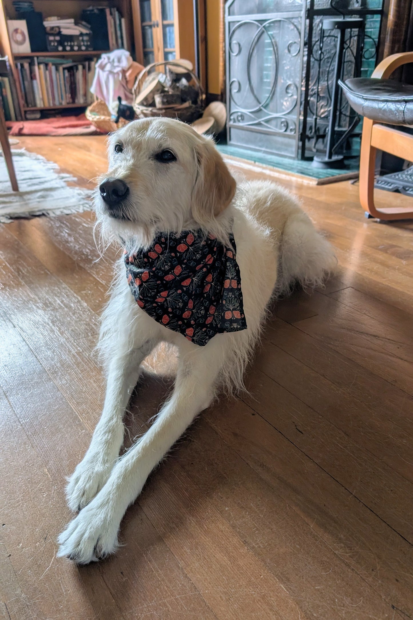 Folk Art Printed Cotton Bandana
