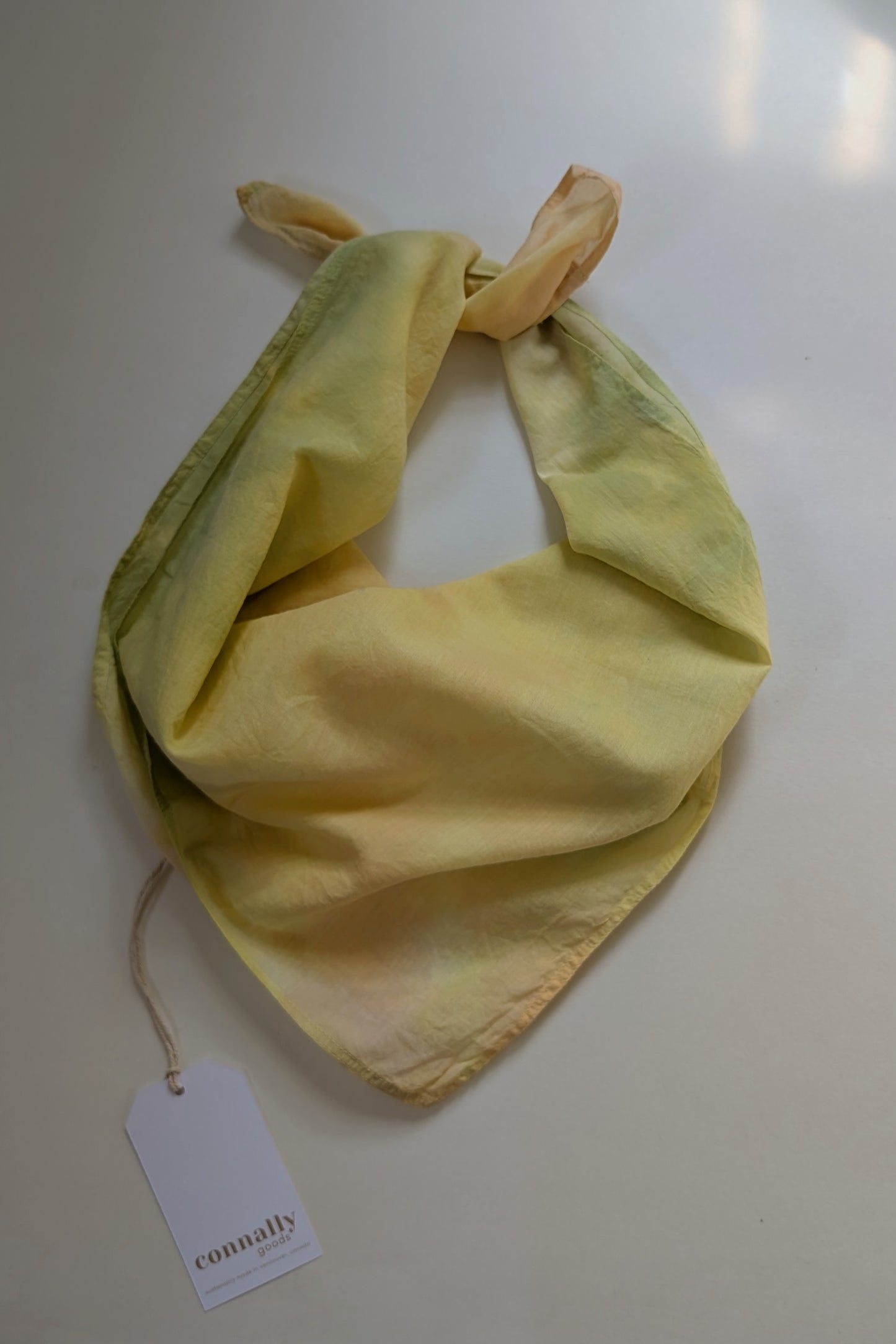 Organic Cotton Bandana (Hand-Dyed)