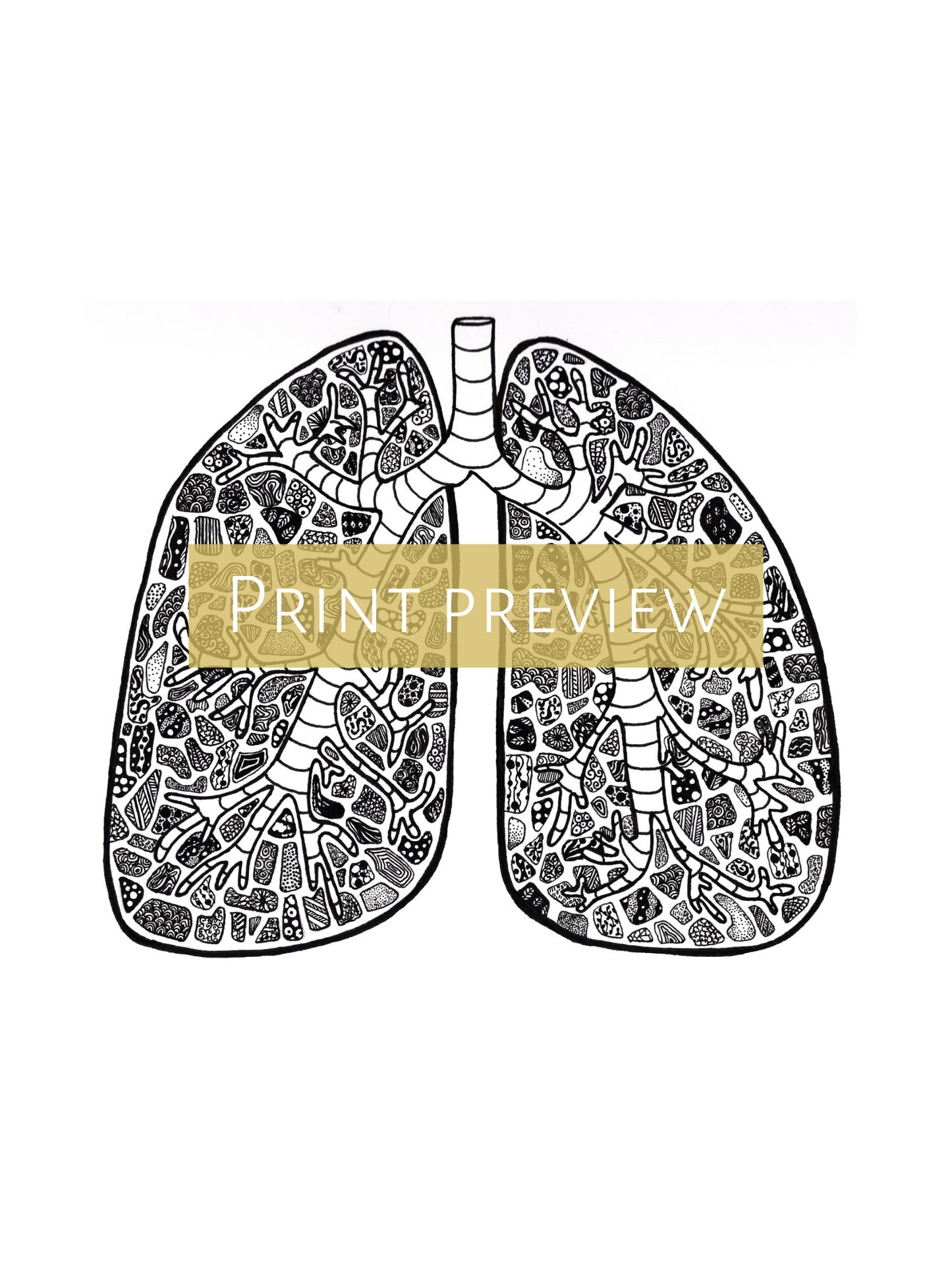 The Body Connected - Set of 3 Limited Anatomical Prints by Connally Goods