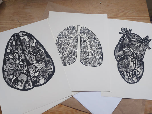 The Body Connected - Set of 3 Limited Anatomical Prints by Connally Goods