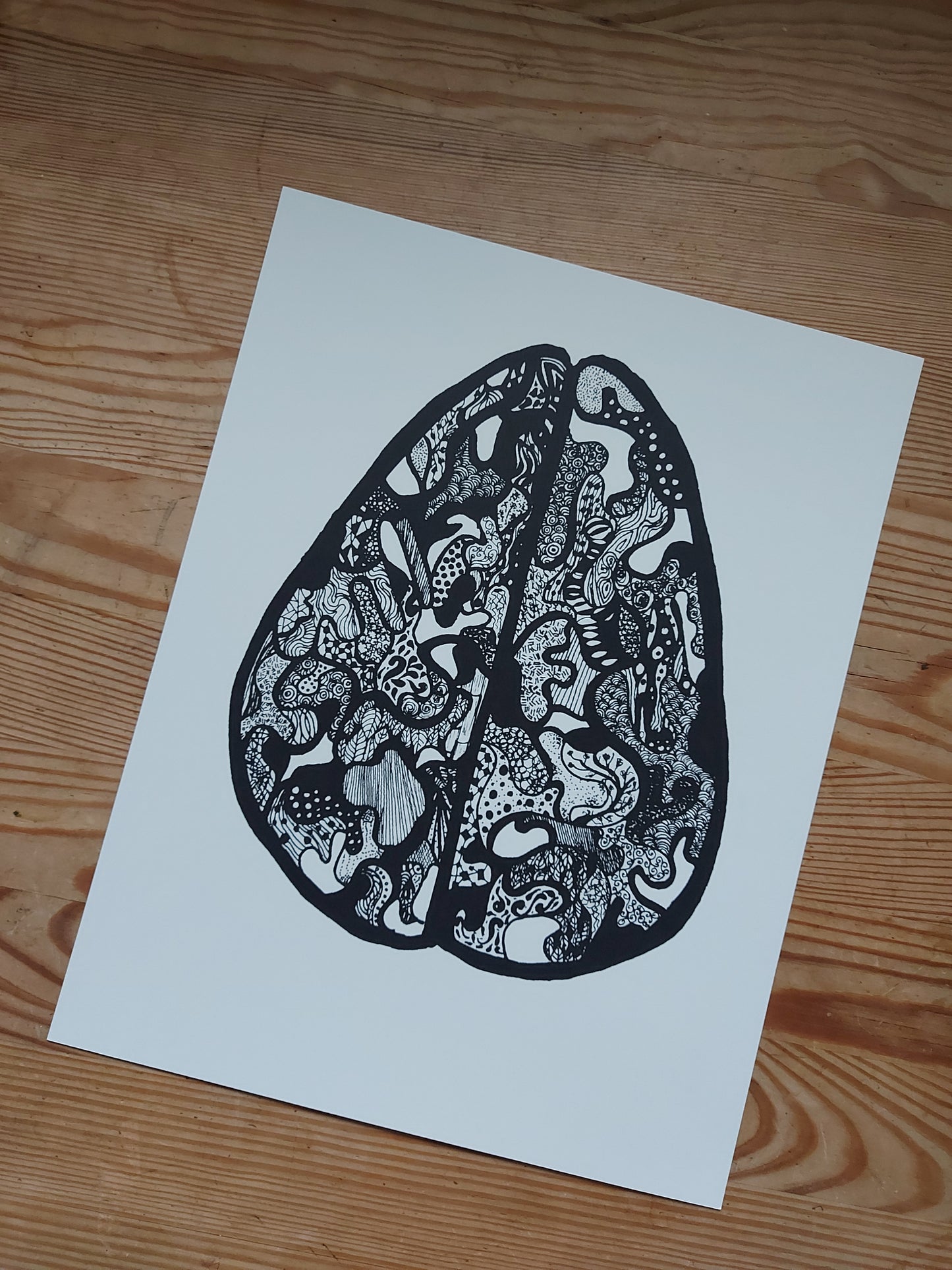 The Mind, The Brain - Limited Anatomical Print by Connally Goods