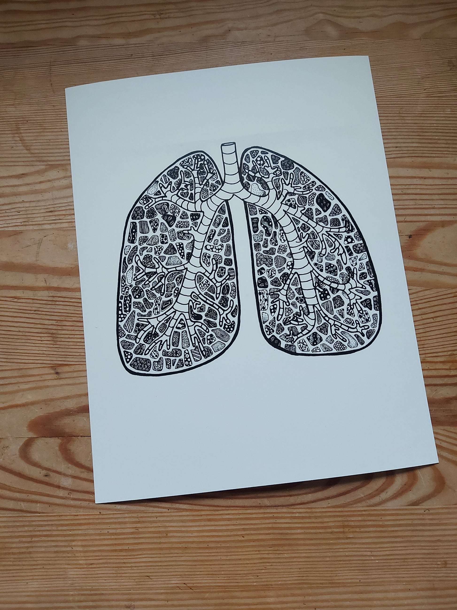 The Lungs - Limited Anatomical Print by Connally Goods